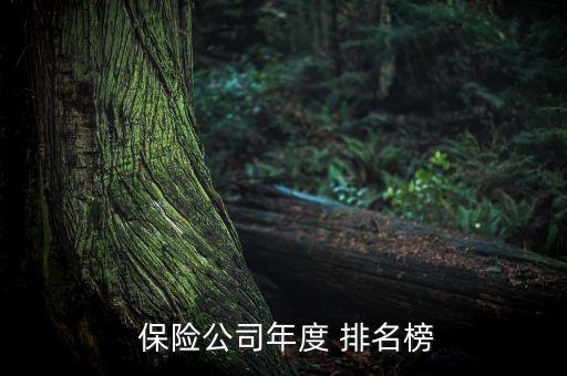  保險(xiǎn)公司年度 排名榜