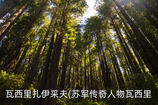 蘇食集團(tuán)會計,集團(tuán)會計一般都負(fù)責(zé)什么