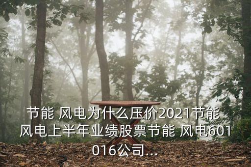 節(jié)能 風電為什么壓價2021節(jié)能 風電上半年業(yè)績股票節(jié)能 風電601016公司...