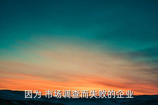 因為 市場調(diào)查而失敗的企業(yè)