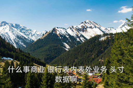 銀行報頭寸是什么意思,銀行頭寸的通俗理解