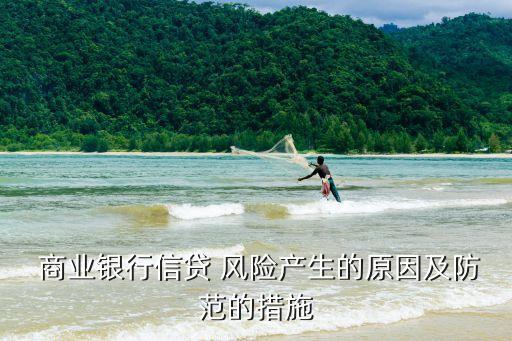  商業(yè)銀行信貸 風(fēng)險(xiǎn)產(chǎn)生的原因及防范的措施