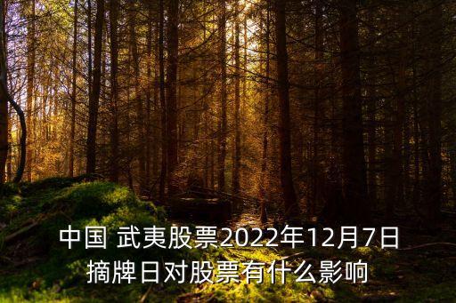 000797中國(guó)武夷高管