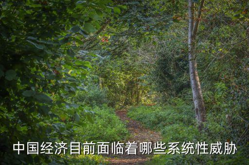 中國經(jīng)濟(jì)目前面臨著哪些系統(tǒng)性威脅
