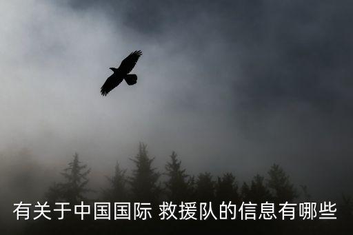 有關于中國國際 救援隊的信息有哪些