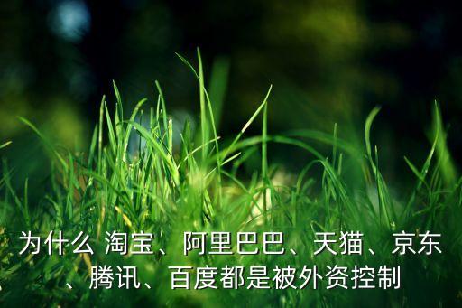 為什么 淘寶、阿里巴巴、天貓、京東、騰訊、百度都是被外資控制