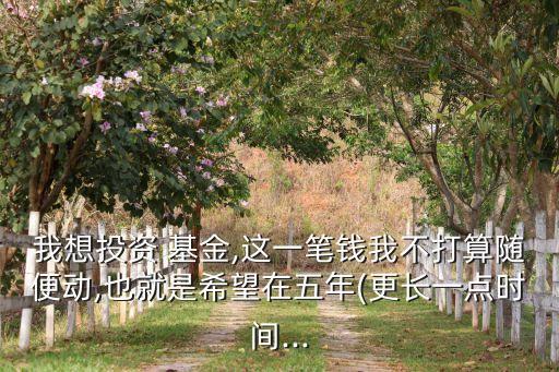 我想投資 基金,這一筆錢我不打算隨便動(dòng),也就是希望在五年(更長一點(diǎn)時(shí)間...