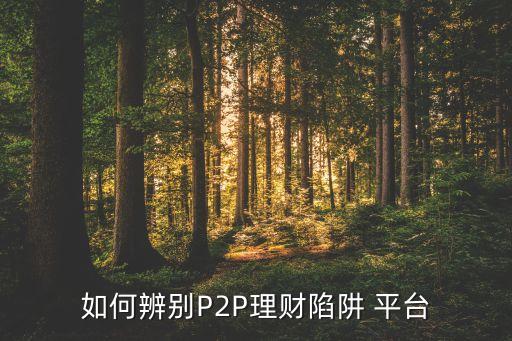 如何辨別P2P理財(cái)陷阱 平臺(tái)
