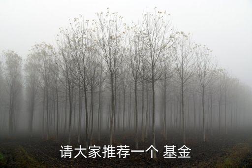 請大家推薦一個(gè) 基金