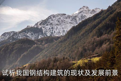 試析我國鋼結構建筑的現(xiàn)狀及發(fā)展前景