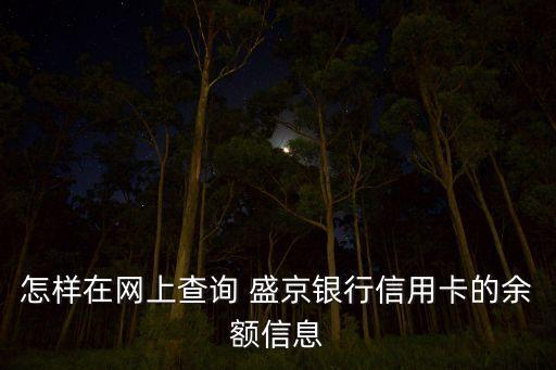 怎樣在網(wǎng)上查詢 盛京銀行信用卡的余額信息