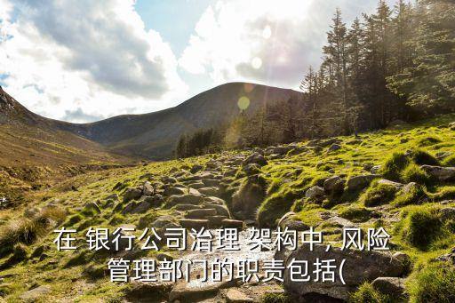 銀行風(fēng)險管理組織架構(gòu),證券公司風(fēng)險管理的組織架構(gòu)包括