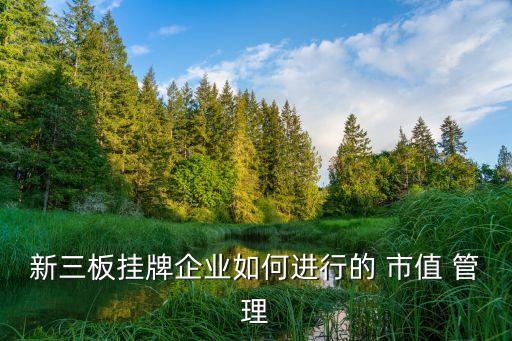 新三板掛牌企業(yè)如何進行的 市值 管理