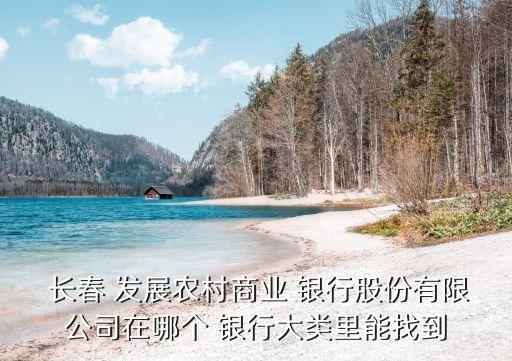  長(zhǎng)春 發(fā)展農(nóng)村商業(yè) 銀行股份有限公司在哪個(gè) 銀行大類(lèi)里能找到