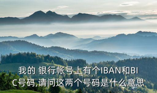 我的 銀行帳號上有個(gè)IBAN和BIC號碼,請問這兩個(gè)號碼是什么意思