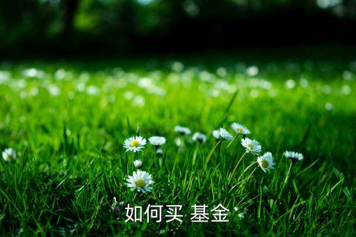 股市怎樣買貨幣基金,股市貨幣基金賣出后可以當(dāng)天取出嗎