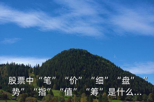  股票中“筆”“價”“細”“盤”“勢”“指”“值”“籌”是什么...