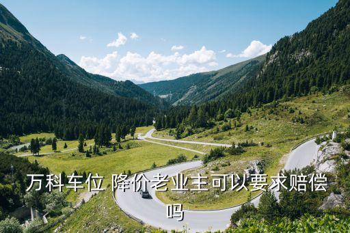  萬(wàn)科車位 降價(jià)老業(yè)主可以要求賠償嗎