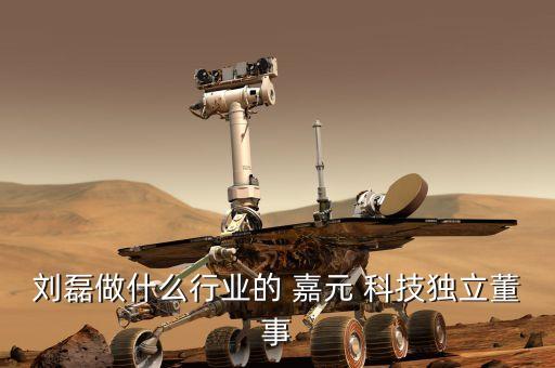 劉磊做什么行業(yè)的 嘉元 科技獨(dú)立董事