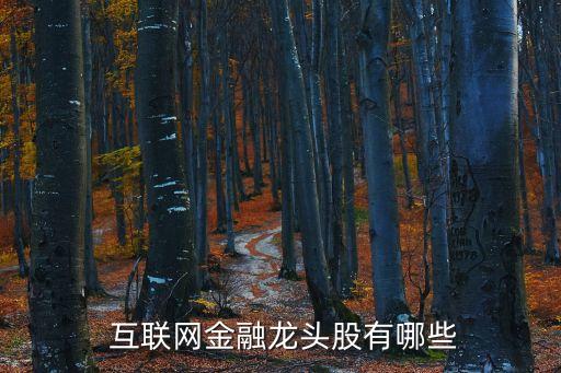匯添富移動互聯網基金凈值,招商移動互聯網基金1004凈值