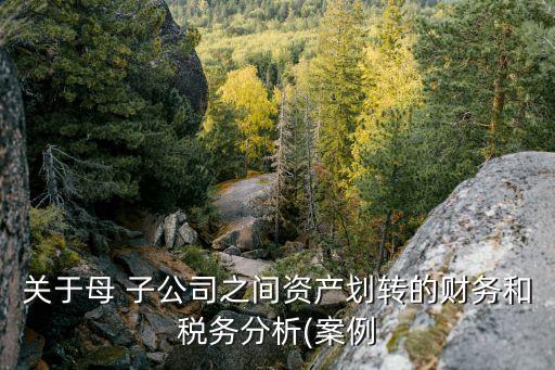 關于母 子公司之間資產劃轉的財務和稅務分析(案例