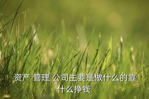  資產(chǎn) 管理 公司主要是做什么的靠什么掙錢(qián)