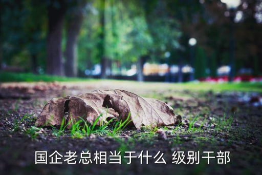  國企老總相當(dāng)于什么 級(jí)別干部
