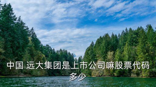 中國 遠(yuǎn)大集團(tuán)是上市公司嘛股票代碼多少