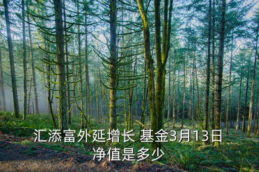  匯添富外延增長 基金3月13日 凈值是多少
