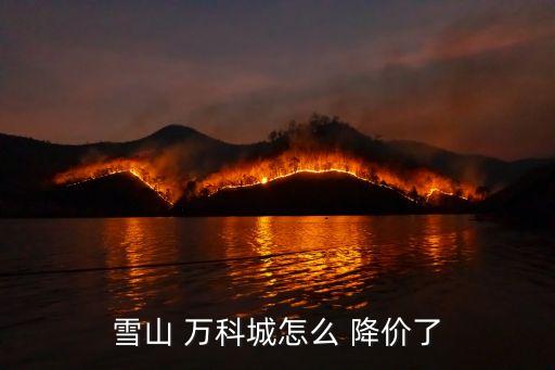 2014上海萬科降價(jià),上海萬科天空之城降價(jià)原因