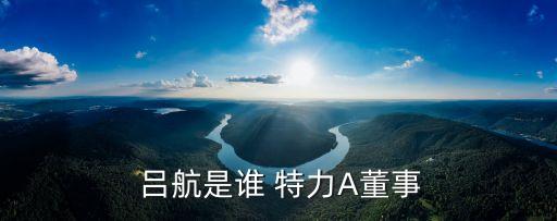 特力集團(tuán)呂航,天長呂航電子集團(tuán)