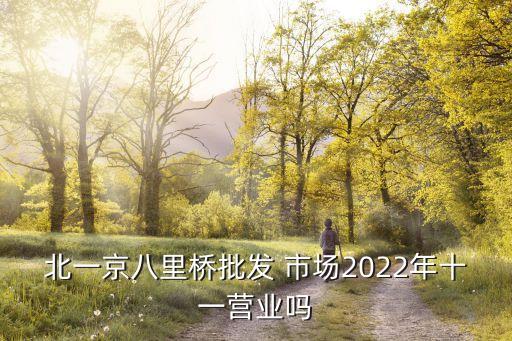 北一京八里橋批發(fā) 市場(chǎng)2022年十一營(yíng)業(yè)嗎