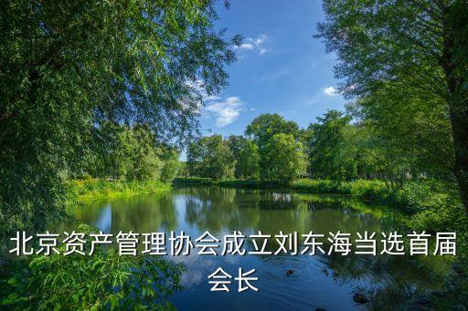 北京資產(chǎn)管理協(xié)會(huì)成立劉東海當(dāng)選首屆會(huì)長(zhǎng)