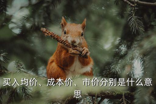 買(mǎi)入均價(jià)、成本價(jià)、市價(jià)分別是什么意思