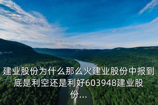 建業(yè)股份為什么那么火建業(yè)股份中報(bào)到底是利空還是利好603948建業(yè)股份...