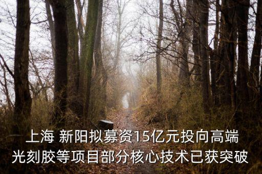  上海 新陽擬募資15億元投向高端光刻膠等項目部分核心技術已獲突破