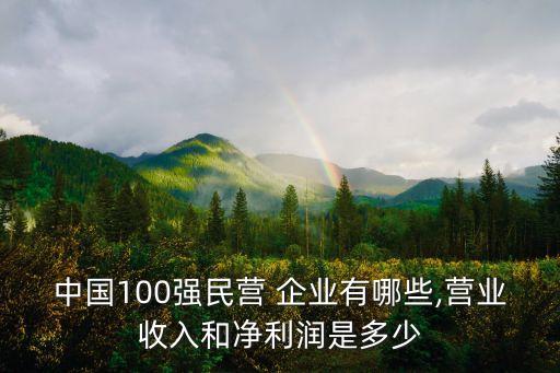 中國100強(qiáng)民營 企業(yè)有哪些,營業(yè)收入和凈利潤是多少