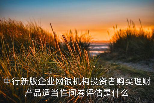 中行新版企業(yè)網(wǎng)銀機(jī)構(gòu)投資者購買理財(cái)產(chǎn)品適當(dāng)性問卷評(píng)估是什么