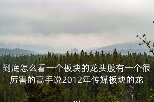 到底怎么看一個(gè)板塊的龍頭股有一個(gè)很厲害的高手說(shuō)2012年傳媒板塊的龍...