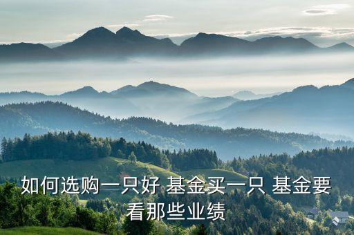 如何選購一只好 基金買一只 基金要看那些業(yè)績(jī)