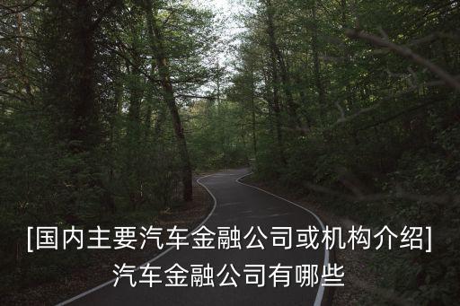 [國內(nèi)主要汽車金融公司或機(jī)構(gòu)介紹]汽車金融公司有哪些