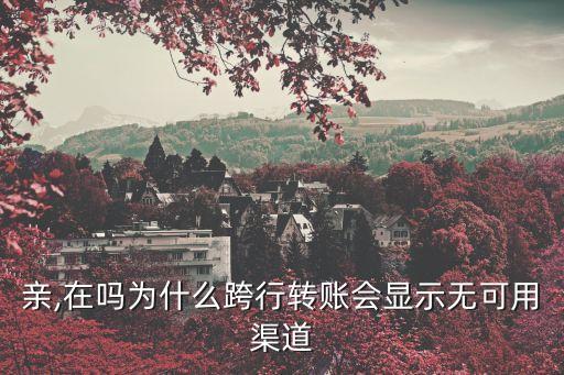 親,在嗎為什么跨行轉(zhuǎn)賬會(huì)顯示無(wú)可用渠道