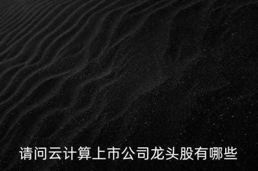 請(qǐng)問云計(jì)算上市公司龍頭股有哪些