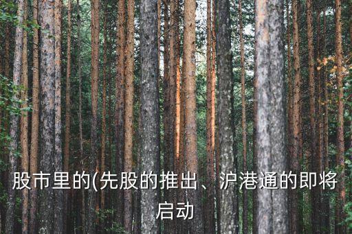股市里的(先股的推出、滬港通的即將啟動