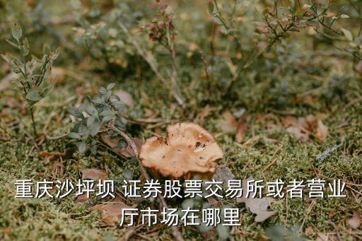 河北證券有限責任公司,華英證券有限責任公司
