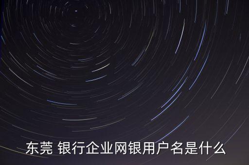  東莞 銀行企業(yè)網(wǎng)銀用戶(hù)名是什么