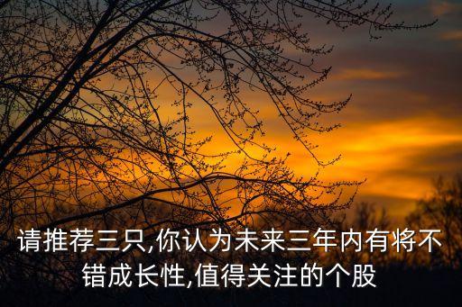 請推薦三只,你認為未來三年內(nèi)有將不錯成長性,值得關(guān)注的個股