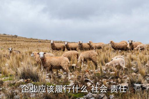 東軟集團對員工的社會責任