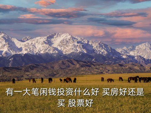 有一大筆閑錢(qián)投資什么好 買(mǎi)房好還是買(mǎi) 股票好