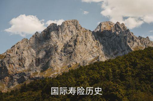 國(guó)際壽險(xiǎn)歷史